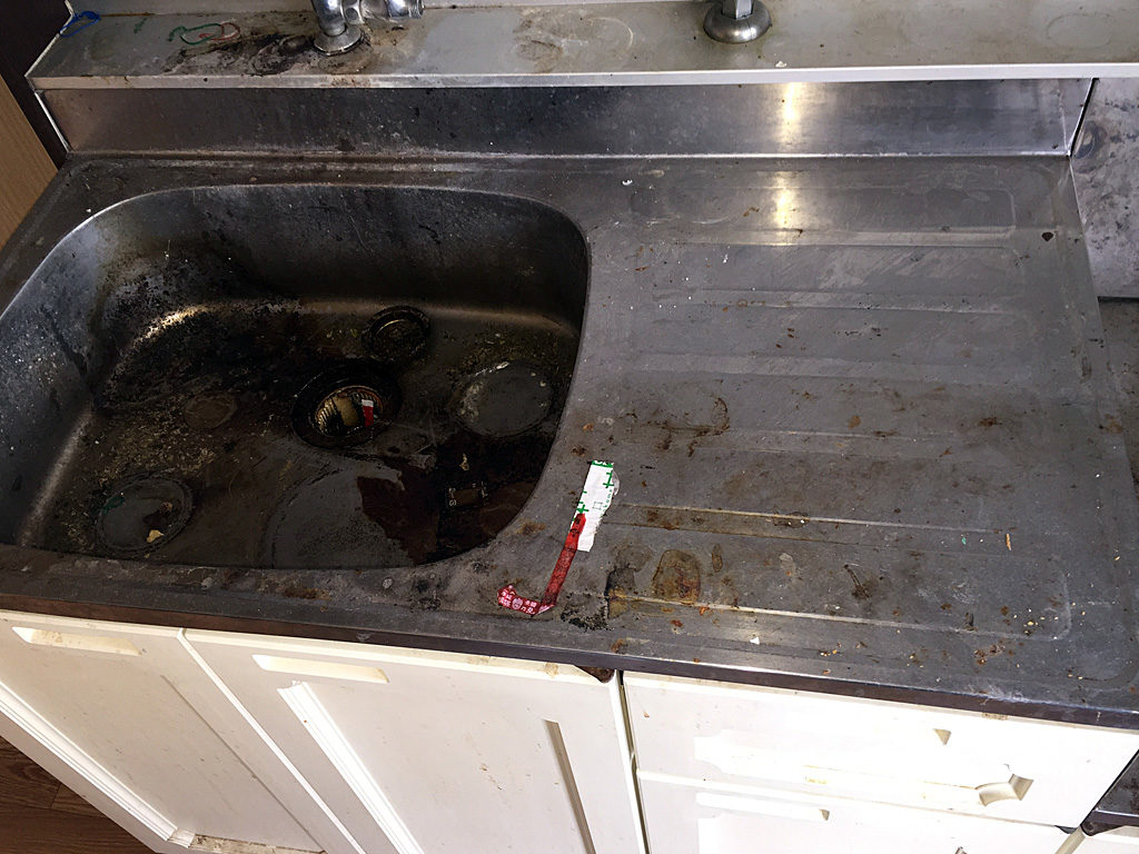 cleaning1-1024x768