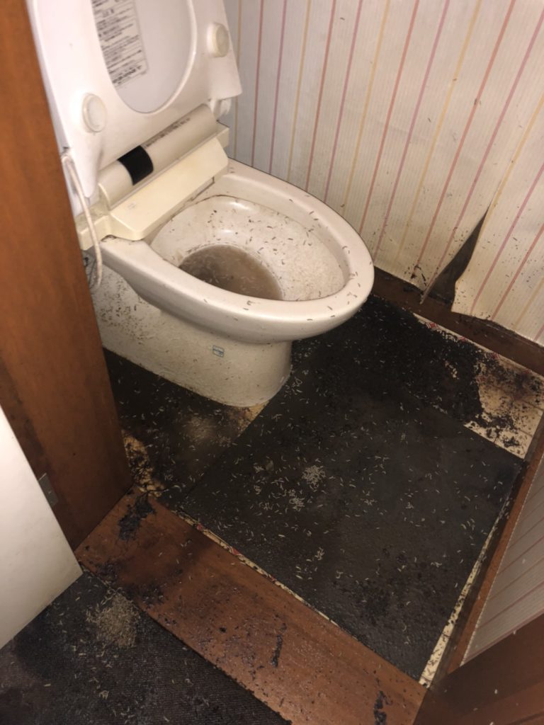 トイレにて孤独死