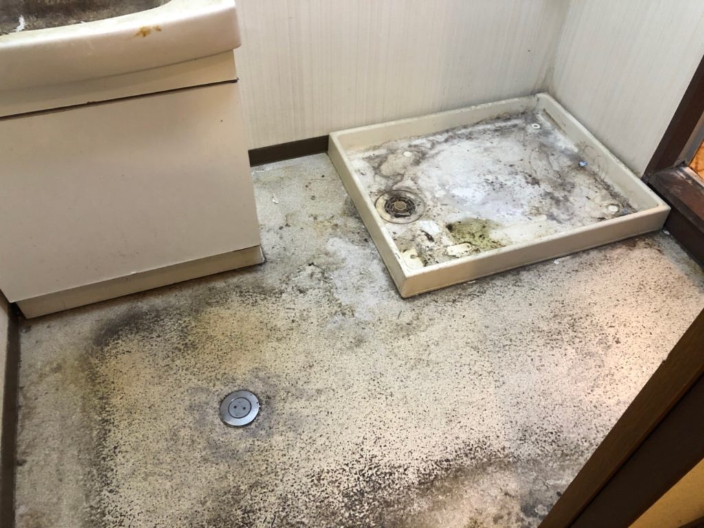 洗面所清掃前