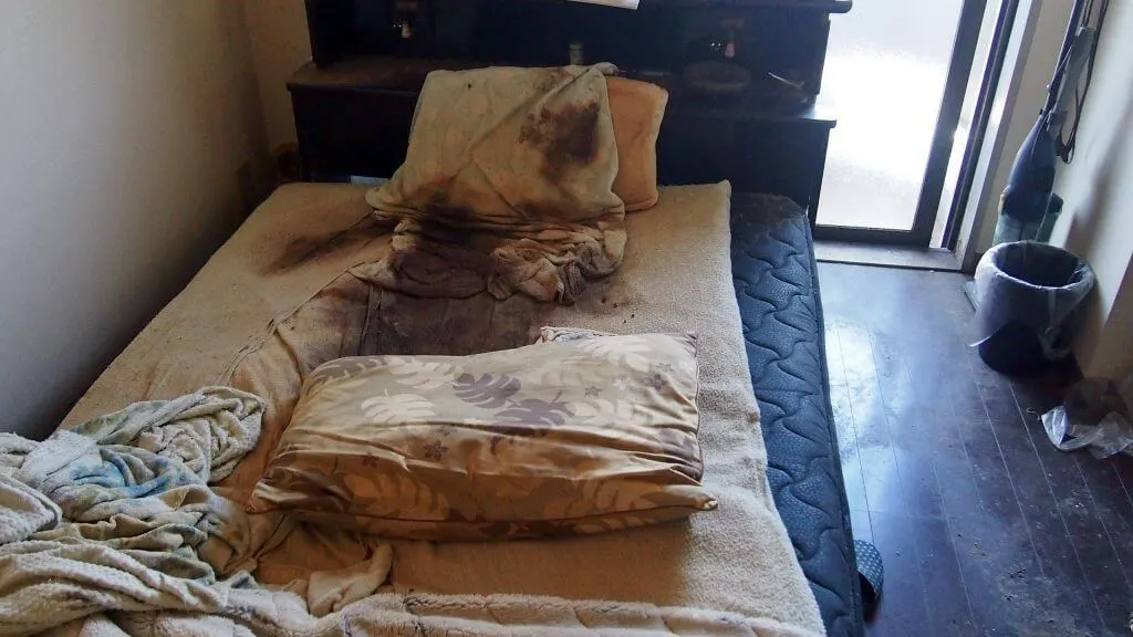 特殊清掃の前