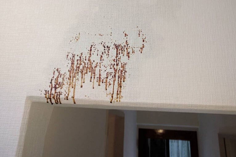 階下の部屋の壁