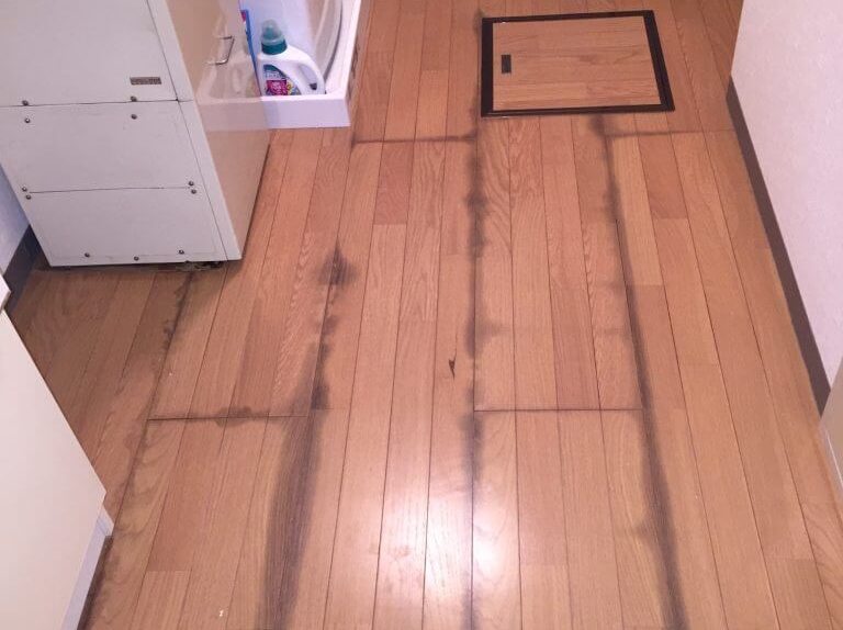 床上の写真