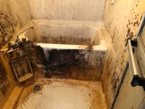 ユニット清掃前